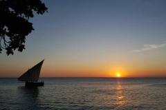 sun rise