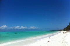 zanzibar