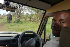 safari vehicle