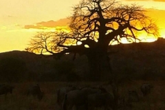 sun set