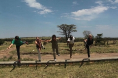 safari photo